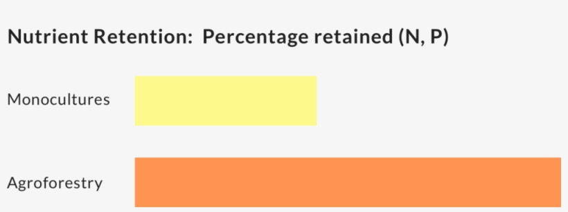 Nutrient Loss - Nutrient, transparent png #5062738