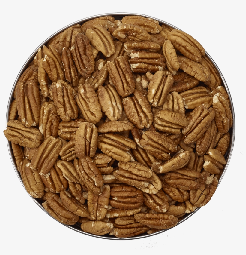 Georgia, transparent png #5062965