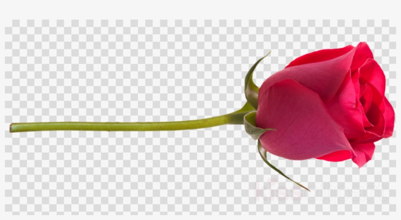 Black Balloon Vector Clipart - Concert Stage Clip Art, transparent png #5063527