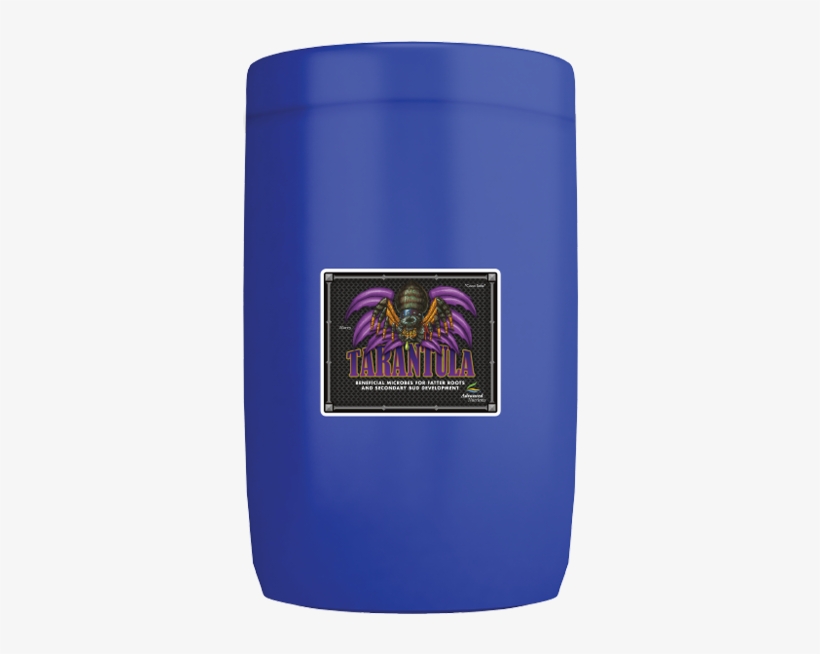 Home - Bee, transparent png #5065574