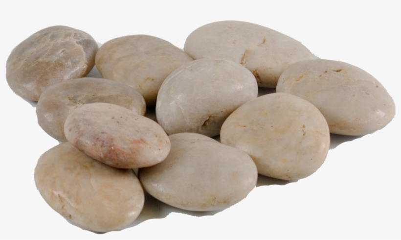 Pebbles White - Pebble, transparent png #5066161