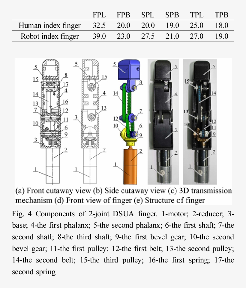 Dimensions Of The Designer's Right Hand Index Finger - One Motor Two Fingers, transparent png #5066940