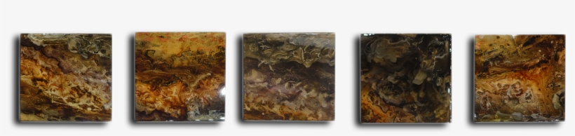 Frasca Halliday Galaxy Dust Exposures International - Galaxy, transparent png #5069134