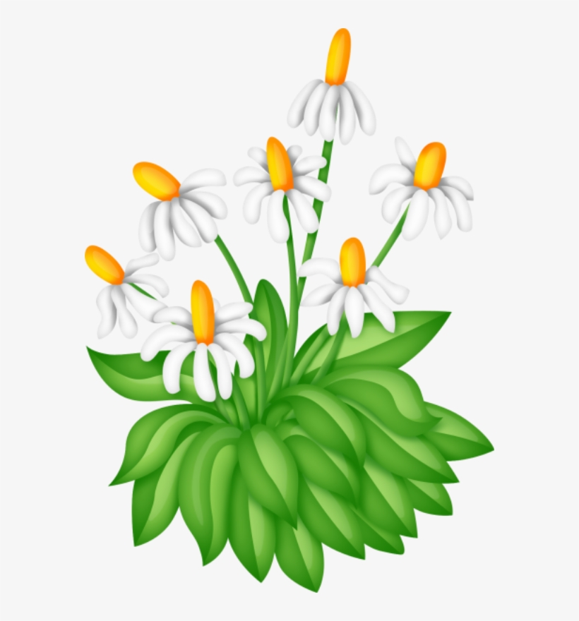 Flowers, Flores, Flowers, Bloemen, Png Color Inspiration, - Flower, transparent png #5070405