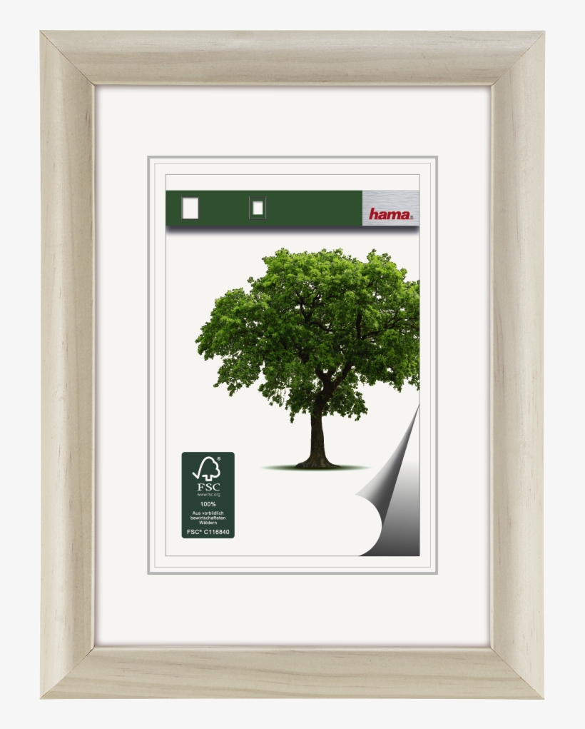 "rhön" Wooden Frame, White, 20 X 30 Cm - Hama Holzrahmen Rhön, Weiß, 30 X 40 Cm, transparent png #5074245