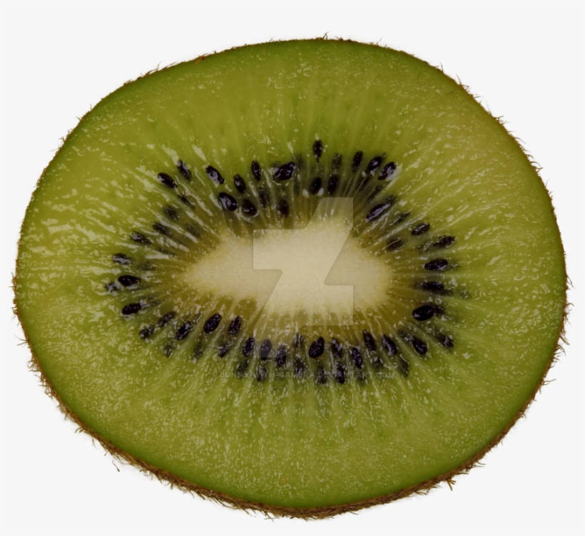 Kiwi Slice Png Png Royalty Free Download - Portable Network Graphics, transparent png #5075473