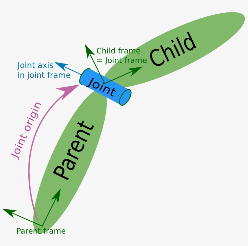 Joint - Celebrating, transparent png #5076896