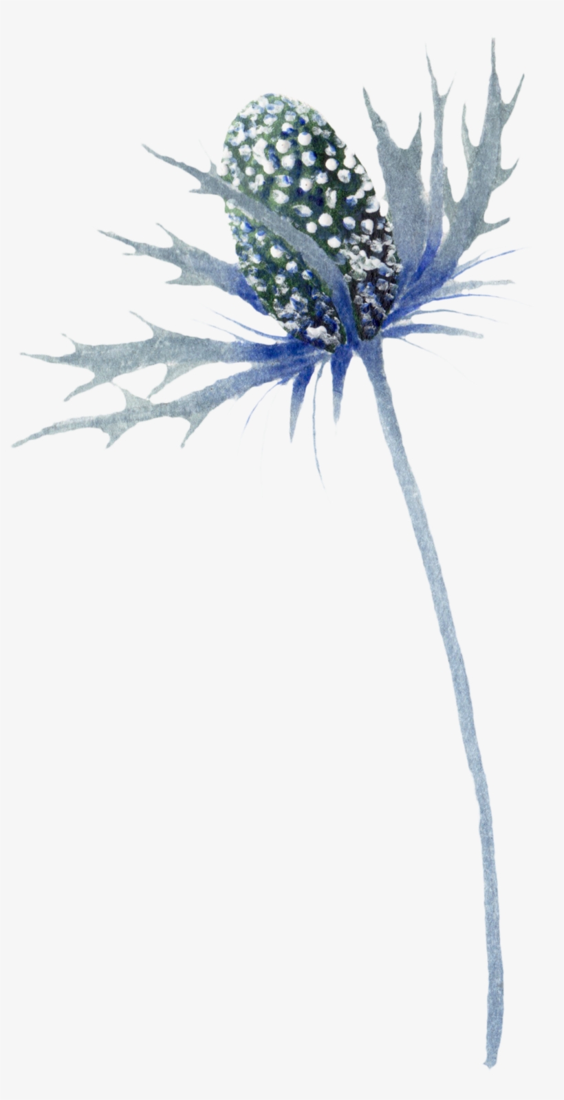 Portable Network Graphics, transparent png #5077548