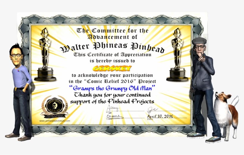 30% Of Original Size - Certificate, transparent png #5080775