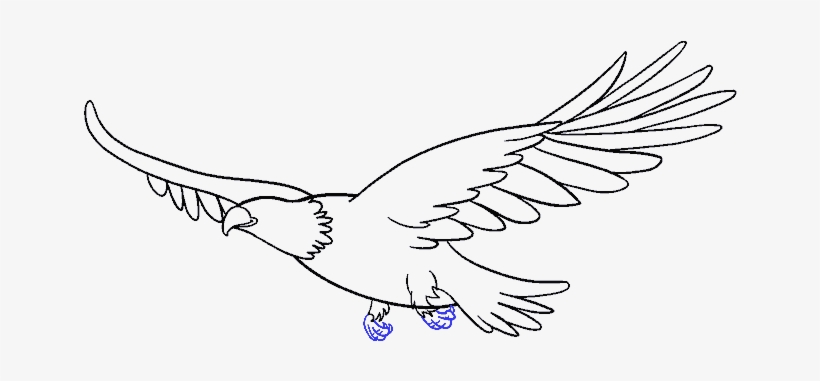 Png Library How To Draw An - Easy Drawing Of A Eagle, transparent png #5081709