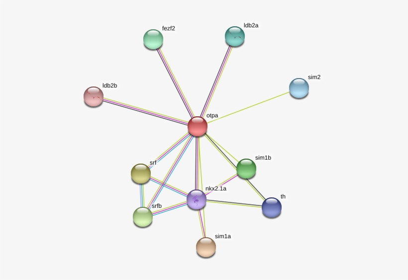 Circle, transparent png #5083109