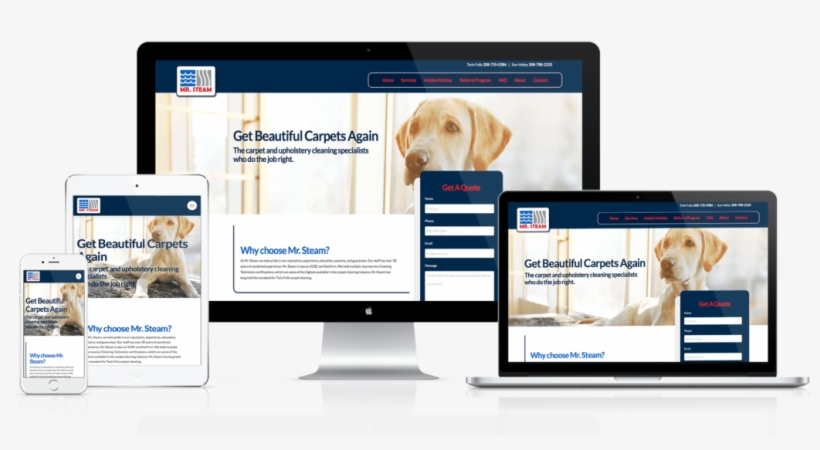 Mr Steam Carpet Cleaning - Carpet Cleaning, transparent png #5084533