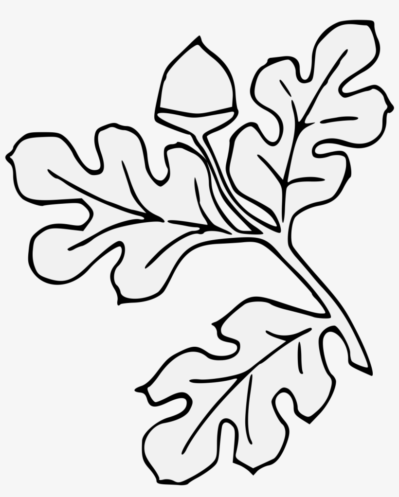 Acorn Slipped & Leaved - Line Art, transparent png #5084770