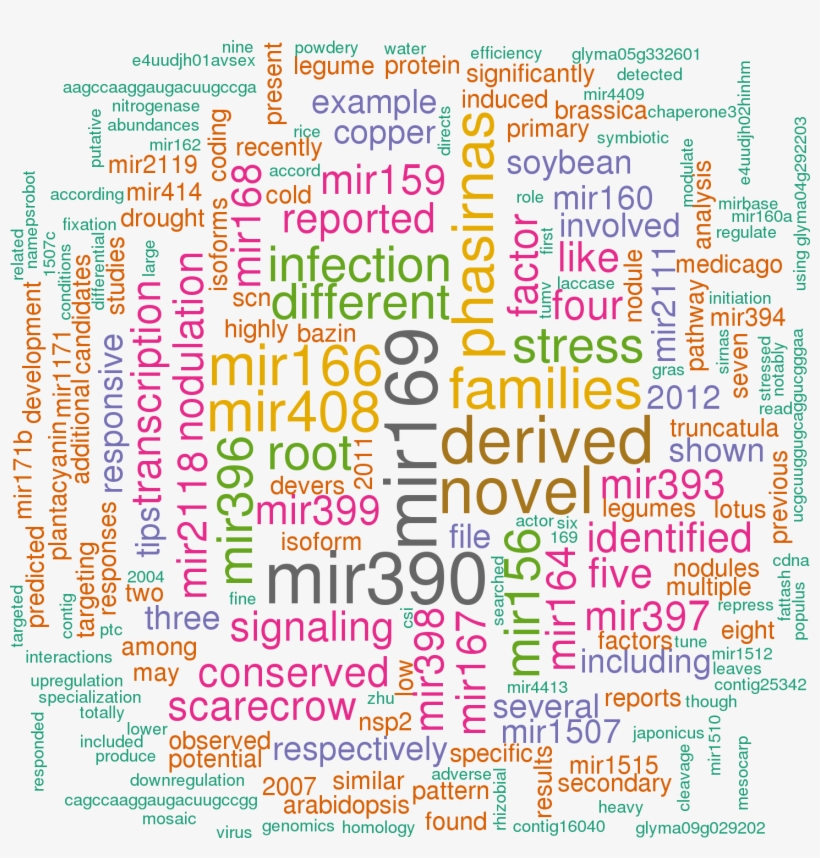 Stem Loop Sequence Gma Mir171g - Creative Writing, transparent png #5084772