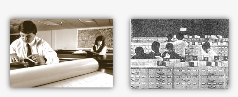 Manual Title Plants - Title, transparent png #5085027