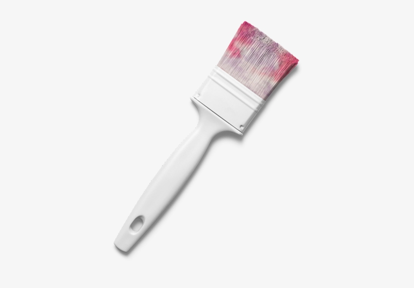 Magic Brush Shiny Acorn - Brush, transparent png #5085207