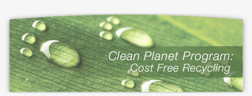 Ways To Go Green And Save Green At The Office - National Park Gesause Partnership, transparent png #5085695