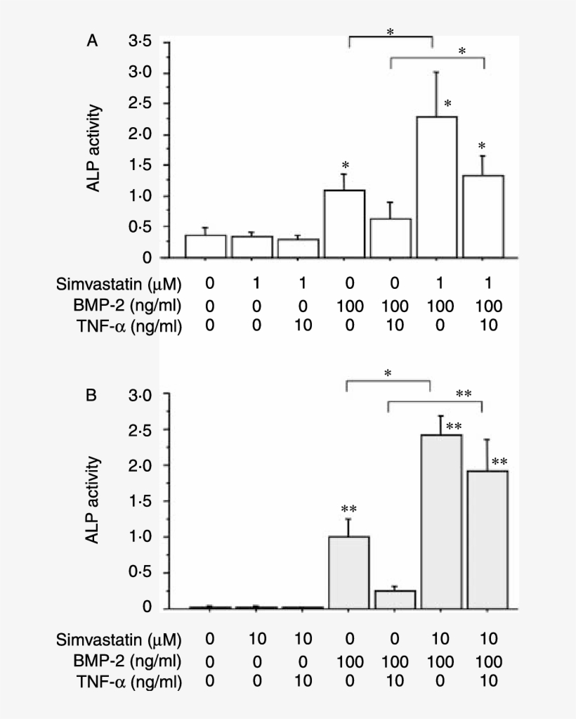 Effects Of Simvastatin Pretreatment On Tnf A Suppression - Alkaline Phosphatase, transparent png #5085764