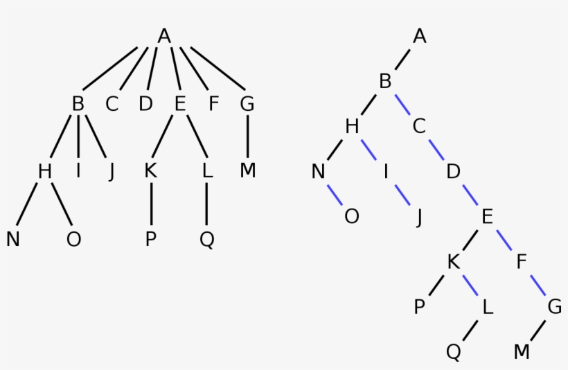 Convertir Arbol General A Binario, transparent png #5087096