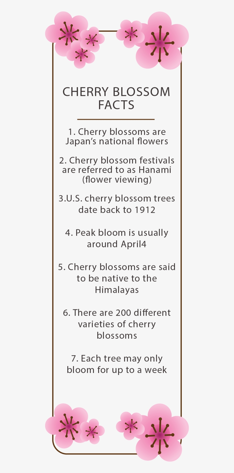 Japanese Culture Club Welcomes Spring With Its Cherry - 2018 Calendar Pretty Printable, transparent png #5087098