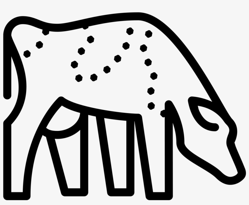 Cow Breed Icon - Cattle, transparent png #5087227