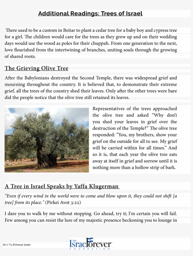 Additional Readings Trees Of Israel The Shade By My - History, transparent png #5087365