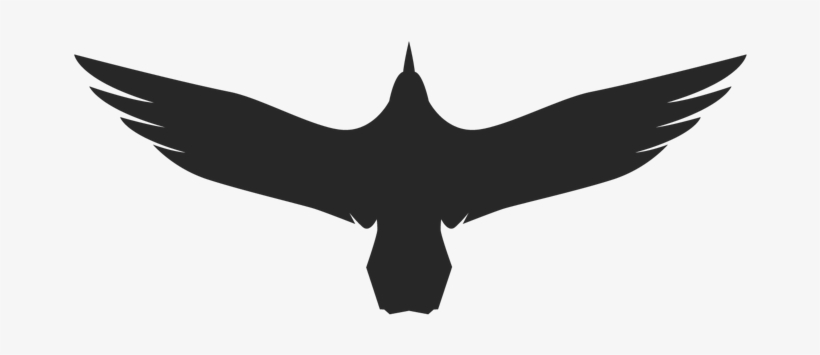 Please Take Our Satisfaction Survey - Golden Eagle, transparent png #5088067