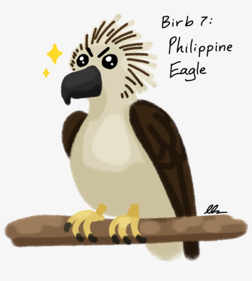 Graphic Black And White Decembirb Philippine Eagle - Cockatoo, transparent png #5090091