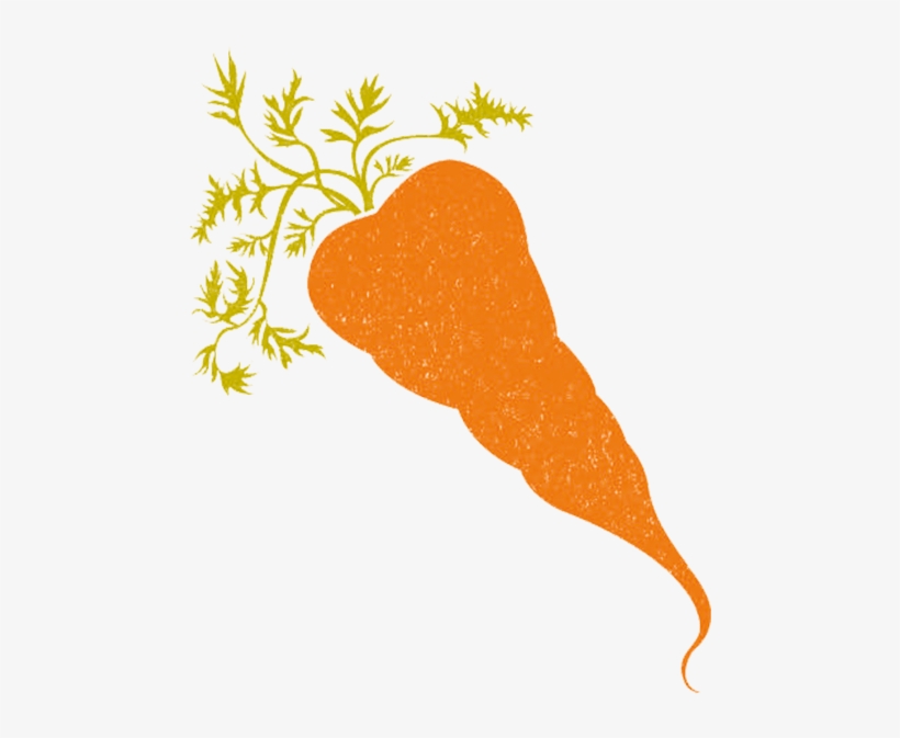 Carrot - Carrot - Chicken, transparent png #5091094