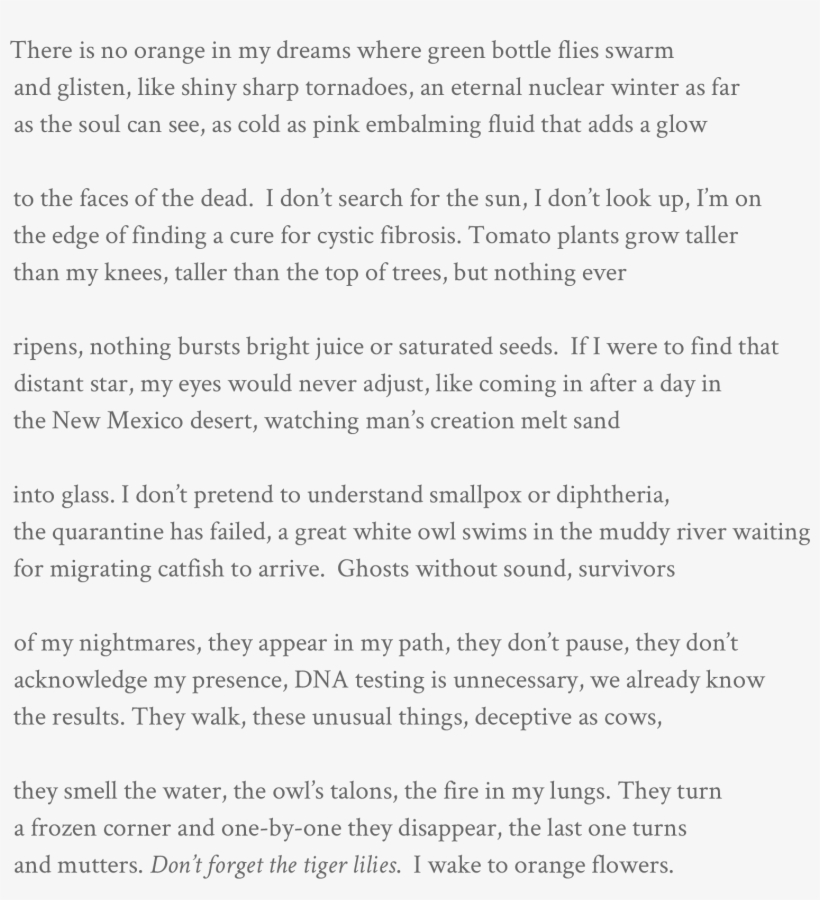 There Is No Orange In My Dreams Where Green Bottle - Similar Problem Swan Company Sold Merchandise On Account, transparent png #5091715