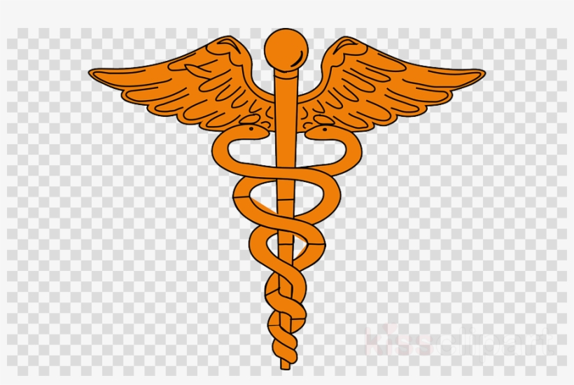 Caduceus Vector Png Clipart Staff Of Hermes Caduceus - Medicina, transparent png #5093551