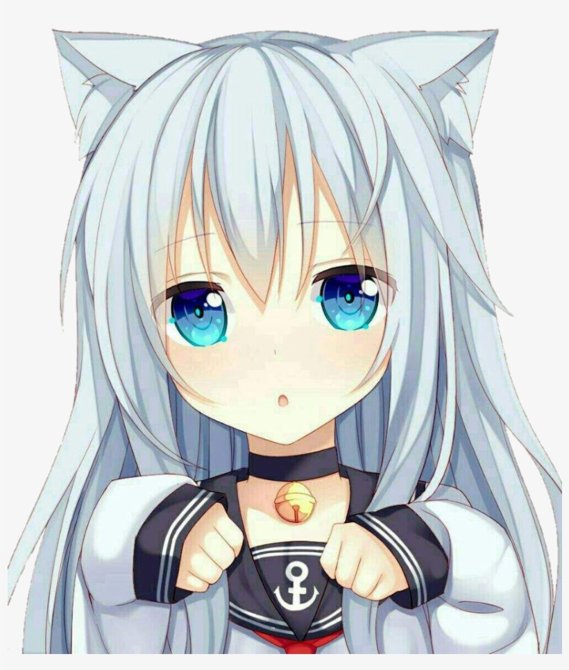 Neko Kawaii  Anime  Free Transparent PNG Download PNGkey