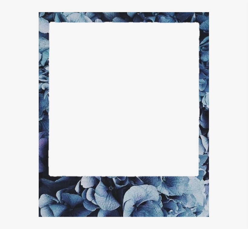 Polaroid Png, transparent png #5095937