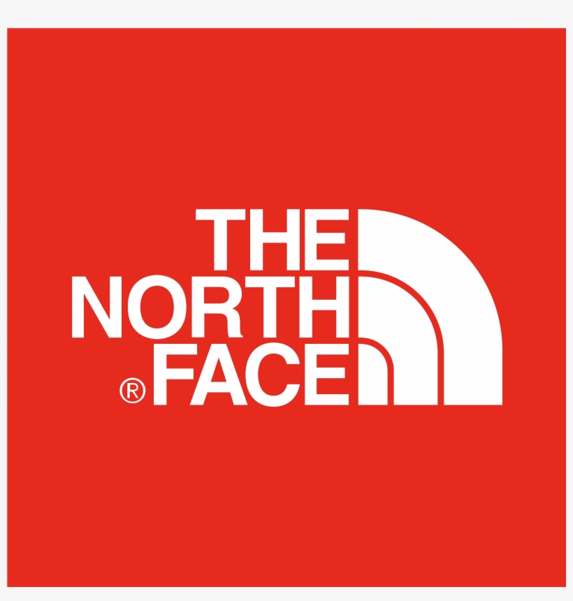 the north face box logo