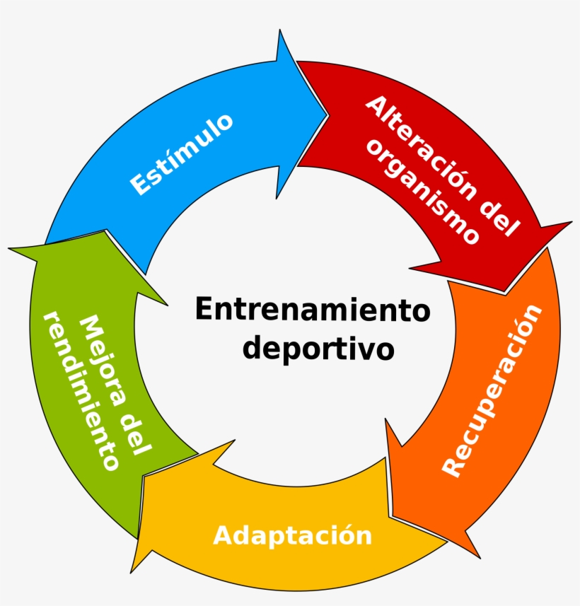 Open - Cycle Diagram, transparent png #5097369