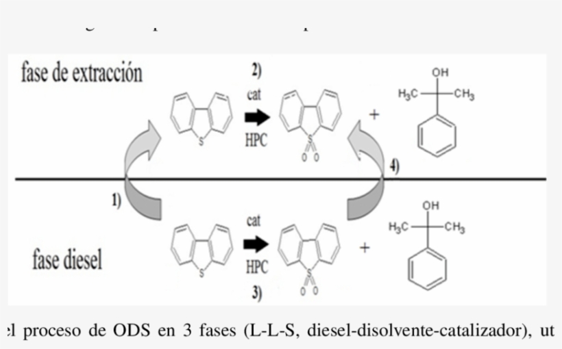 Esquema Del Proceso De Ods En 3 Fases - Solvent In Chemical Reactions, transparent png #5097587