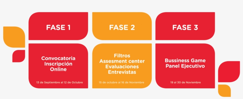 Estas Son Las Fases De Nuestro Proceso De Selección, transparent png #5097629