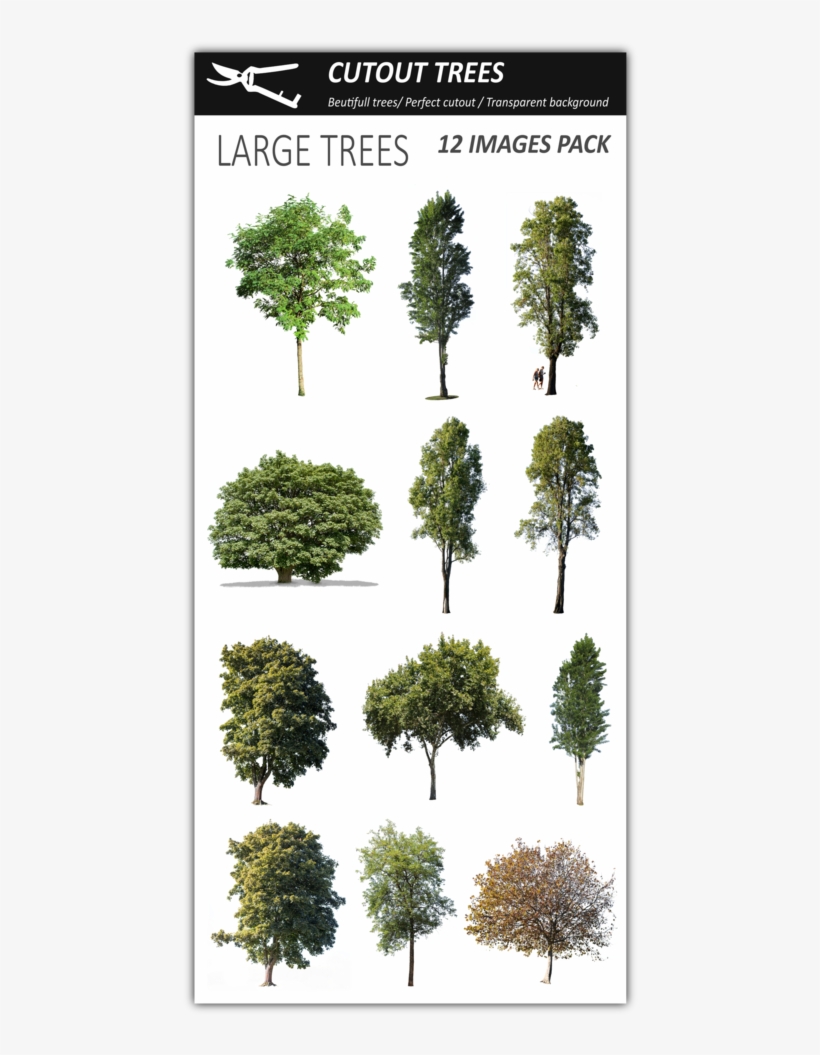 12 Large Trees Pack - Tree, transparent png #5098283