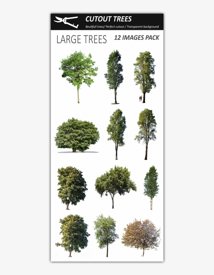 12 Large Trees Pack - Tree, transparent png #5098283
