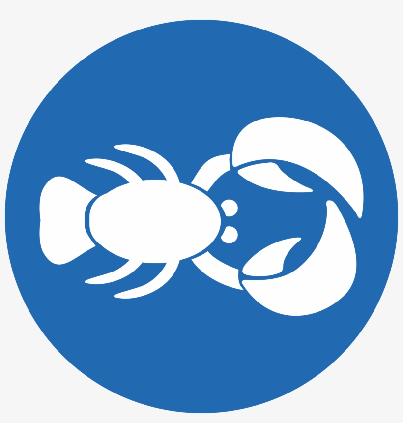 Sportlobster - 10 Digital Media Limited, transparent png #5098284