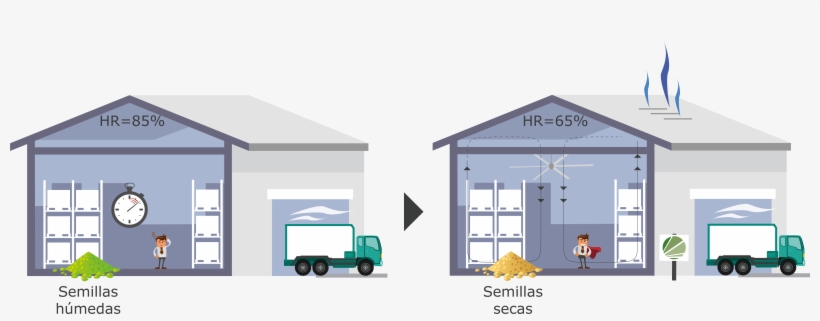 Proceso De Secado De Semillas Y Alimentos - Commercial Vehicle, transparent png #5098752