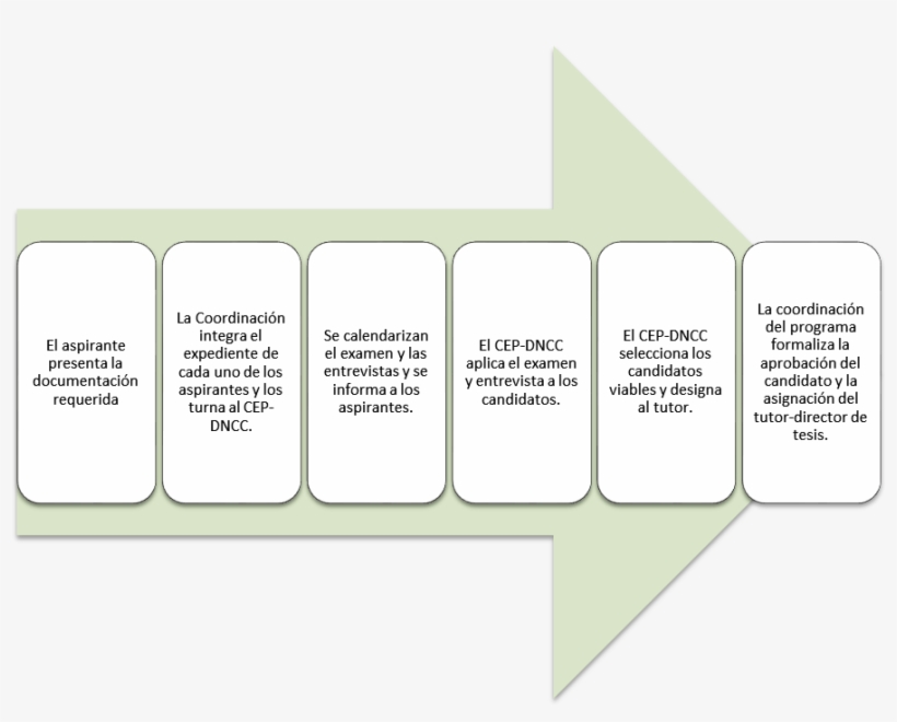 La Coordinación Integra El Expediente De Cada Uno De - Illustration, transparent png #5099604