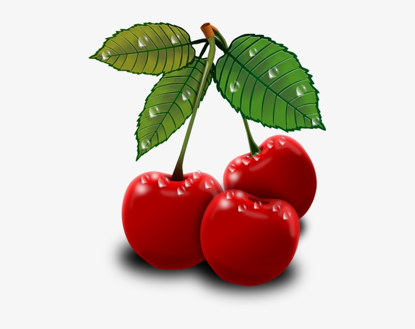 Read It - Art Cherry Png, transparent png #510342