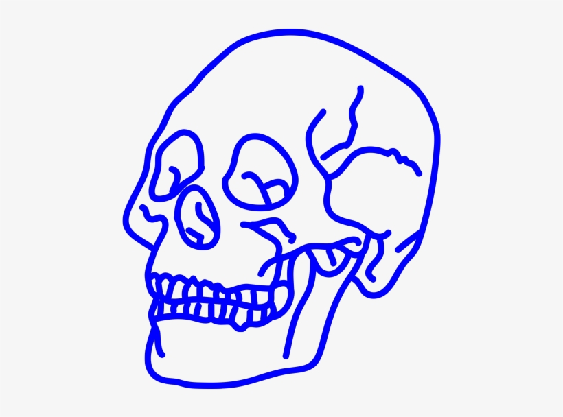 Transparent Skull - Skull, transparent png #510503