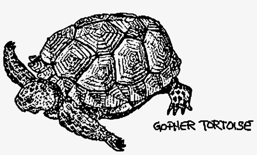 Png Image, transparent png #510529