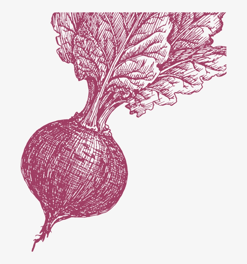 View Report - Beet Greens, transparent png #510785