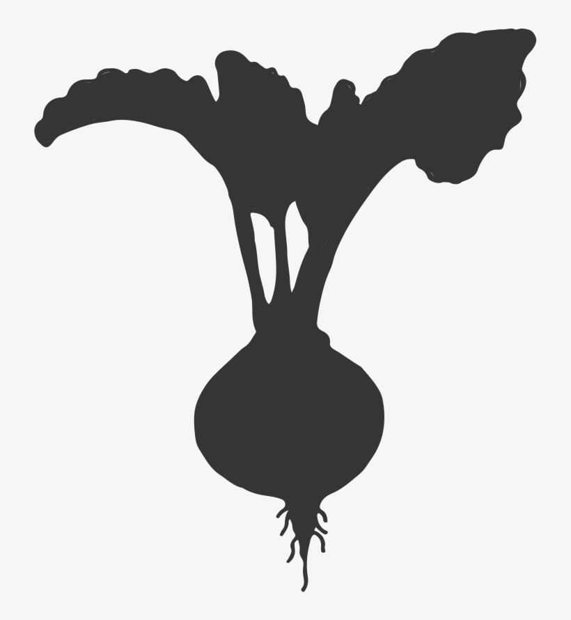 Make Stuff With Beets, transparent png #510814