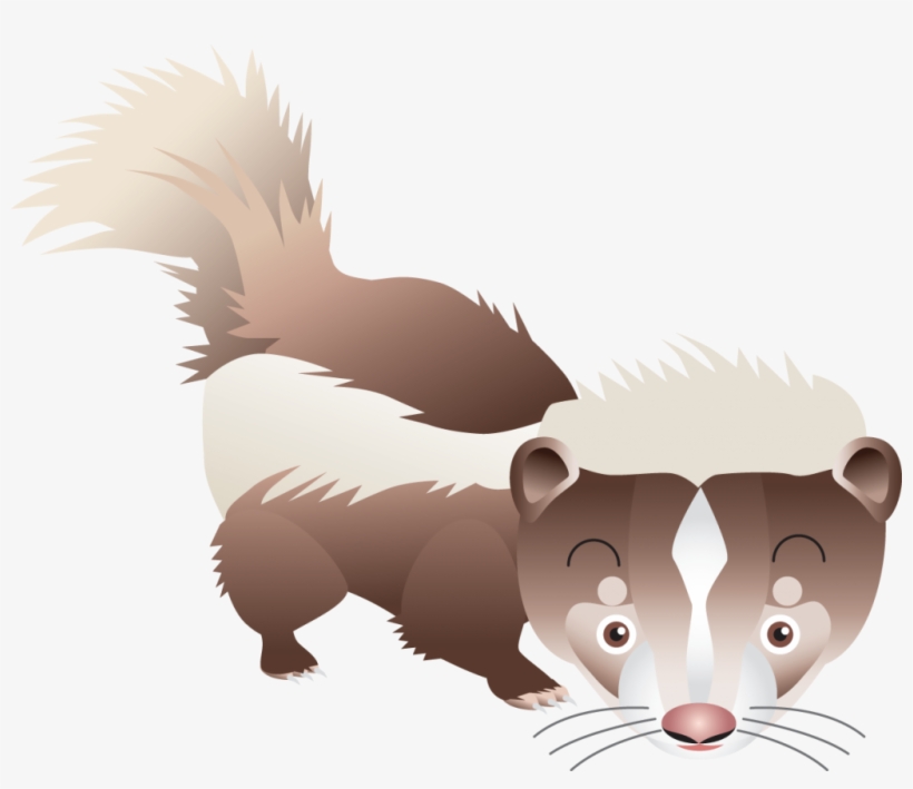 Skunk Png Vectors - Striped Skunk, transparent png #510836