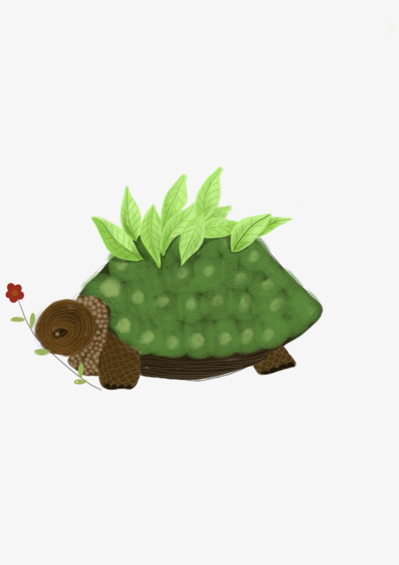 Tortoise, transparent png #510837