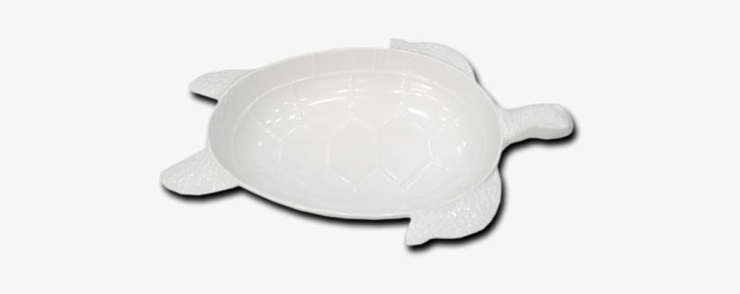 Tortoise Platter Png - Olive Ridley Sea Turtle, transparent png #511009